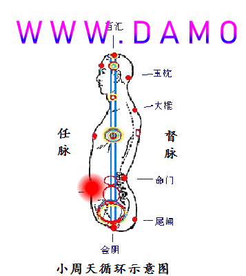 养生课 养生