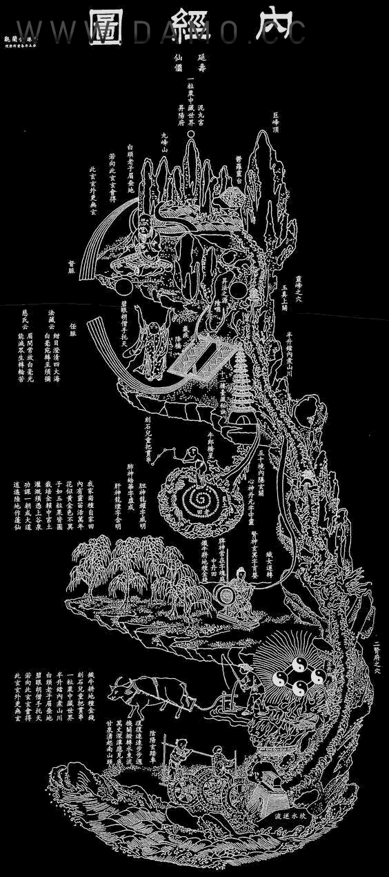 养生课 养生