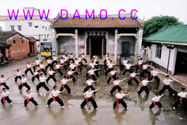 养生课 养生