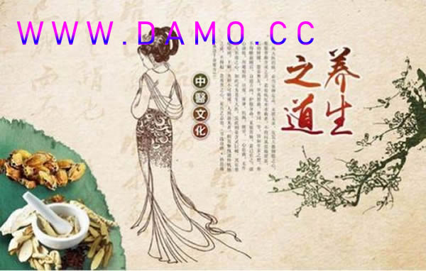 养生课 养生