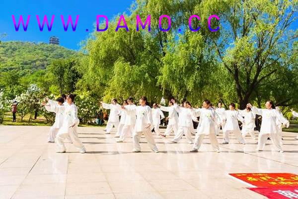 养生课 养生