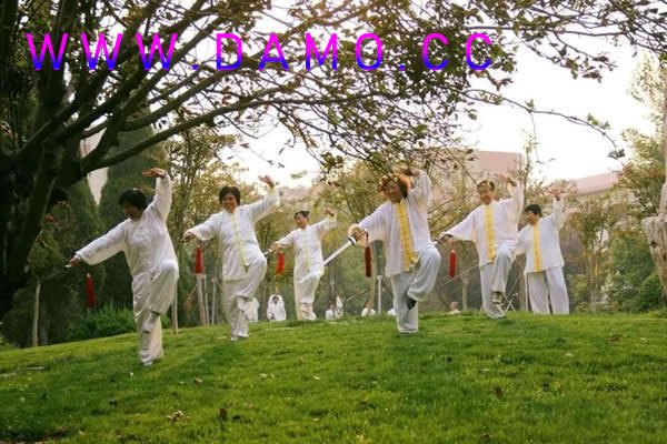 养生课 养生