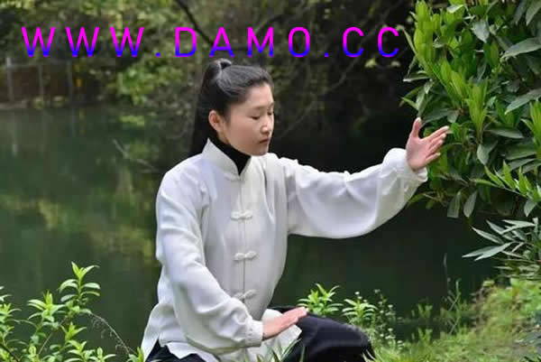 内功 易筋经