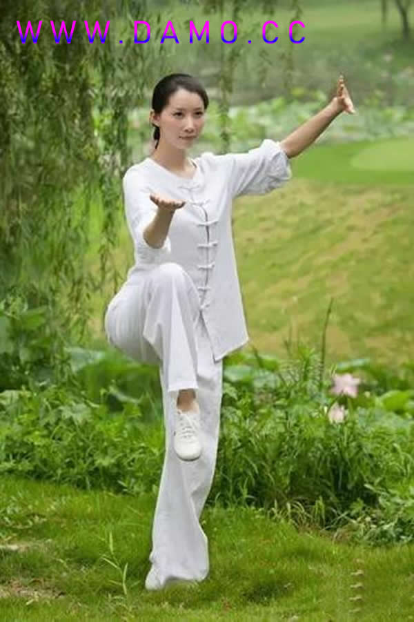 内功 易筋经